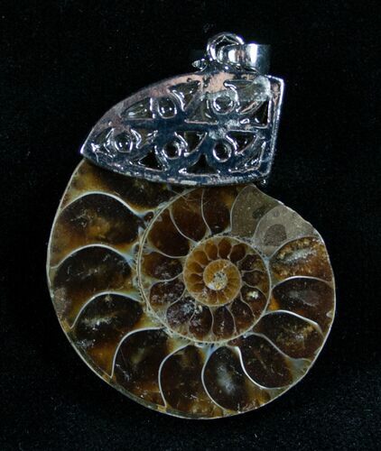 Ammonite Fossil Pendant #7072